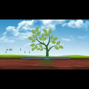 WH 20-5PCS Non-Woven Tree Mulch Ring - Anti-weed Degradable Tree Protector Mat - Weeding Barrier - Home Garden Anti-weed Tool - Plant Cover Anti Grass