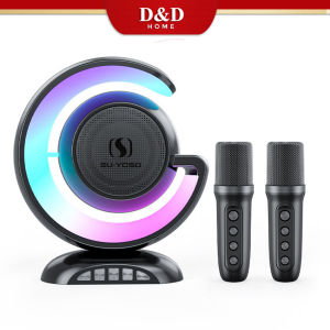 D&D Home YS-110 Home KTV Bluetooth Speaker Colorful Light 10W Wireless Bluetooth with Dual Microphone