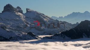 Soonsun 60m Waterproof Housing Case for GoPro Hero 8 Black Red Filters Underwater Shell with Cold Shoe for GoPro 8