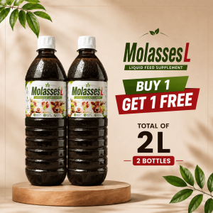 [BEST] Molasses L Pure Blackstrap Molasses Feed Grade Pulot for Cattle Pigs Goats Poultry Chickens