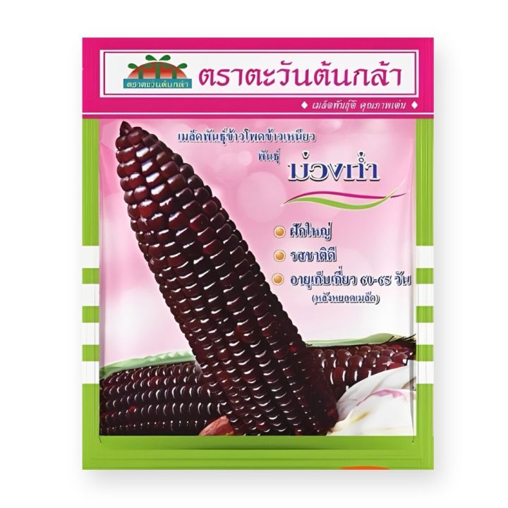 เมล็ดพันธุ์ข้าวโพดข้าวเหนียว ม่วงก่ำ ตราตะวันต้นกล้า 500 กรัม