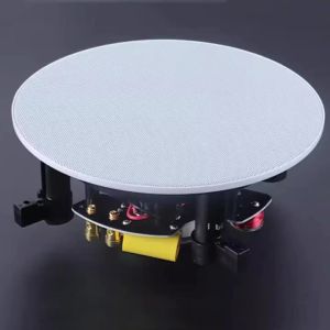 btnx Background music system suitable for shops conferences and homes - coaxial constant impedance ceiling speakers R6P8Q