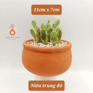 Chậu đất nung chậu sen đá - Niêu 117 miệng chậu 11cm chiều cao 7cm