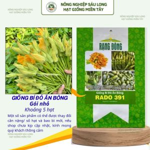 Hạt giống Bí Đỏ Ăn Bông Rado 391 (5g~40 hạt) nhanh thu hoạch trồng quanh năm