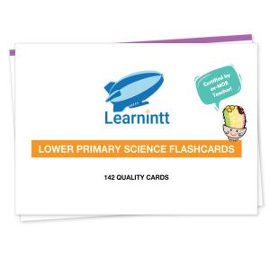 PSLE Lower + Upper Primary Science Flashcards