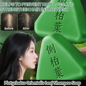 Platycladus Orientalis Leaf Shampoo Soap Hair Strengthening Anti Dandruff Oil Control Shampoo Soap Multiflorum Chinese Hair Shampoo Hair Treatment