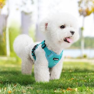 SKYJS พร้อมเชือกดึง ชุดสายรัดสุนัข ปรับได้ หลักฐานการหลบหนี แจ็คเก็ต สายรัด ชุดที่สบาย สายสะท้อนแสง ชุดปลอกคอและสายจูงสุนัข แมวเดิน