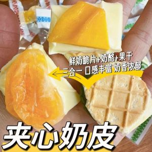 Fresh Milk Fruit Cheese Snacks 新鲜奶皮子果酪零食
