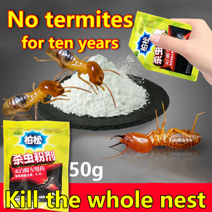 One infected whole nest died termite powder killer 50g anay pest ...