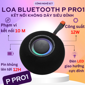 Loa Bluetooth Không Dây P Pro 1 – Âm Thanh Rõ Ràng Chân Thực Bass Sâu NGhe Nhạc Mọi Lúc Mọi Nơi - Bảo Hành Lỗi 1 Đổi 1