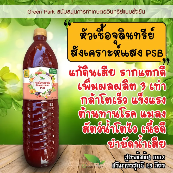 5 อันดับ จุลินทรีย์สังเคราะห์แสง (PSB) ยี่ห้อไหนดี? อัปเดตปี 2025