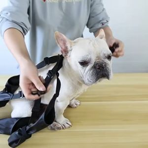 Dog Shoes Waterproof Adjustable Anti-Slip Pet Dogs Boots Rain Day Dirty-proof Puppy Paw Protector