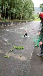 Jaring ikan Jaring seser Serokan ikan udang Rajutan tangan strum ikan dan menyuluh