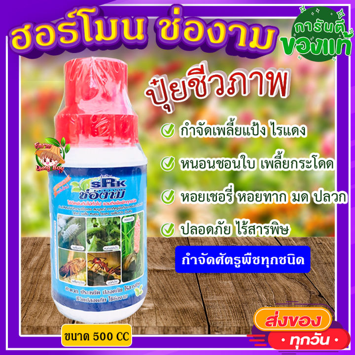 5 อันดับ ยาปราบศัตรูพืชและบำรุงพืช ปลอดภัยต่อต้นไม้และคน อัปเดตปี 2025