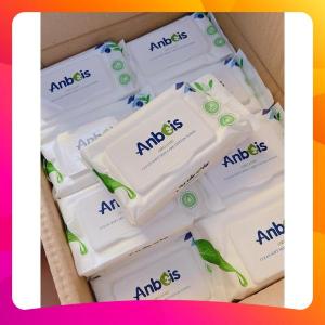 [ HCM ] COMBO khăn ướt Anbeis 30 gói mỗi gói 300 gram