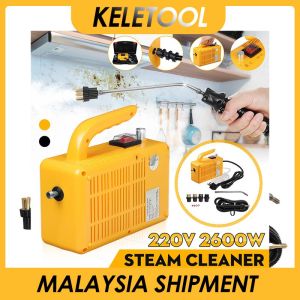 2600w High Temperature Steam Cleaner For Hood Air Conditioner Car Mobile Cleaning Machine Pumping Sterilization Disinfector
