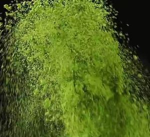 AMAX Matcha Powder For Milk tea coffee roasting/baking pastries
