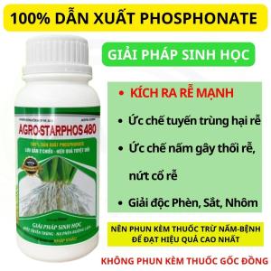 Lân 2 chiều AGRO-STARPHOS 480 500ML - Kích ra rễ mạnh - đẻ nhánh nhiều - ức chế tuyến trùng và nấm Phytophthora Rhizoctonia tuyến trùng gây thối rễ  nứt cổ rễ