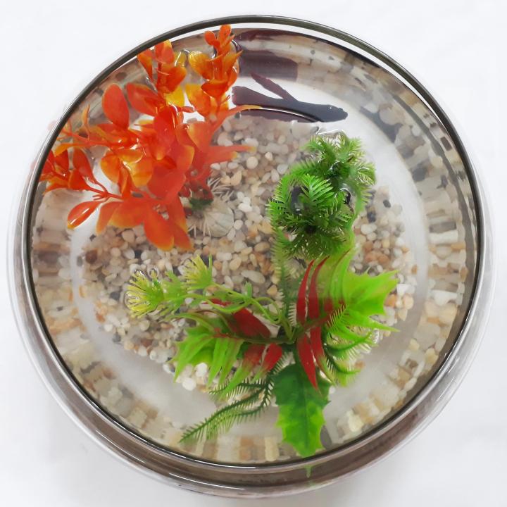 B%E1%BB%83%20C%C3%A1%20Tr%C3%B2n%20L%E1%BB%9Bn%20-%20H%E1%BB%93%20C%C3%A1%20%C4%90%E1%BB%83%20B%C3%A0n%20-%20Ch%E1%BA%ADu%20C%C3%A1%20Th%E1%BB%A7y%20Tinh%20HT-1%2025x25x17%20-%20Image%204