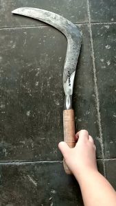 ALAT CARI RUMPUT PEGON BAJA ISEN CAP PANCING MALIK - ALAT POTONG RUMPUT - ALAT PERTANIAN