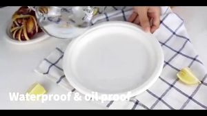 50pcs. Disposable Plate 9-10" Extra Strong Extra Thick Microwave Safe Paper Plate Cut Oil Resistant PAZU