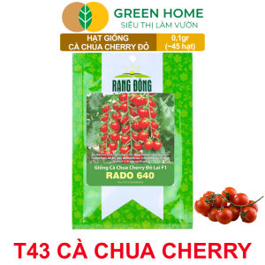 Hạt Giống Cà Chua Cherry Đỏ Lai F1 GreenHome Gói 01g~45 hạt Dễ Trồng Quanh Năm Nhiều Quả T43
