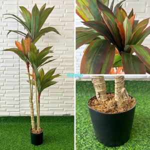 Pohon Artificial Tanaman Plastik Pandan Bali Coklat T125 T145 T175 Latex Pot Dasar Hitam Dekorasi Kantor Aesthetic