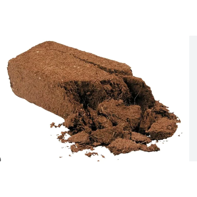 Làm thế nào để không lãng phí đất trồng cây hữu cơ khi bạn nghĩ đã mua đúng sản phẩm?