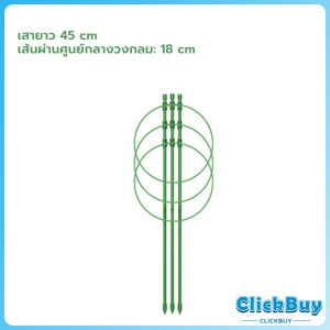 ClickBuy โครงเถาวัลย์ เสามะเขือเทศ โครงปลูก อุปกรณ์สำหรับพืชไม้เลื้อย 45cm 60cm plant trellis