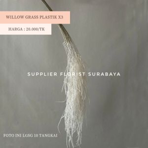 [WILLOW GRASS X3] DAUN WILLOW PANJANG MENJUNTAI TINGGI 100-120CM MOSS WILD GRASS RUSTIC DECORATION DEKORASI PELAMINAN WEDDING PERNIKAHAN KAWINAN RUMPUT HIAS SINTETIS CURLY TING TING JENGGOT MUSA MOSSY BEARD AMARANTHUS PLASTIK ARTIFICIAL FLOWER ESTETIK