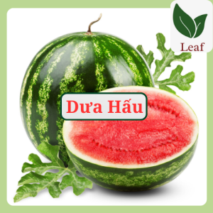 Hạt Giống Dưa Hấu Hắc Mỹ Nhân - Dưa Hấu gói 0.5gr - Hạt Giống Leaf