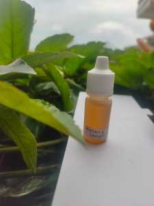 BIANG ESSEN MURNI 5ML FULL 100% ASLI // KOMPLIT// PENGUAT AROMA MEMANCING//PENAMBAH NAFSU MAKAN IKAN // PENGUMPUL // BERBAGAI JENIS // IKAN MAS // LELE // PATIN // BAWAL // GALATAMA //