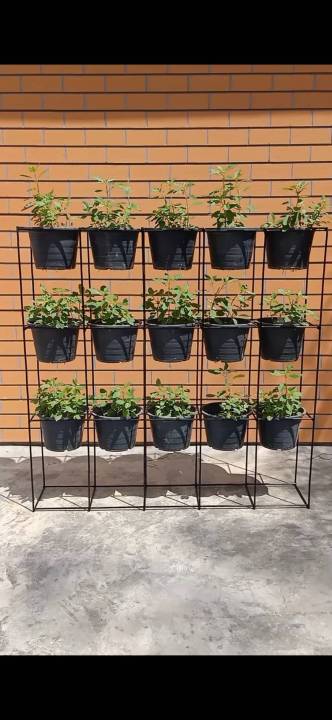 สวนแนวตั้งเหล็กสีดำพร้อมกระถาง 15 ใบ