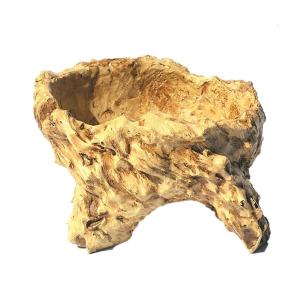 Resin Tree Root Succulents Planter Flowerpots Imitating Stumps Designs for Home Garden Spaces Indoor Outdoor Use