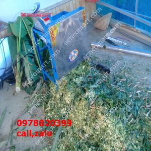 Máy băm cỏ inox 2 ngưa tức 15kw