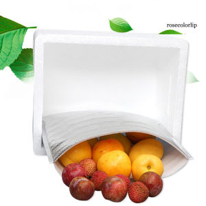 [Giá Xưởng] 01 Túi xốp bạc giữ nhiệt cho thực phẩm thức ăn ship gửi hàng gói hàng đóng hàng an toàn