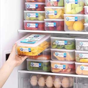 Home Signature Japan Antibacterial Refrigerator Preservation Box: A Comprehensive Guide