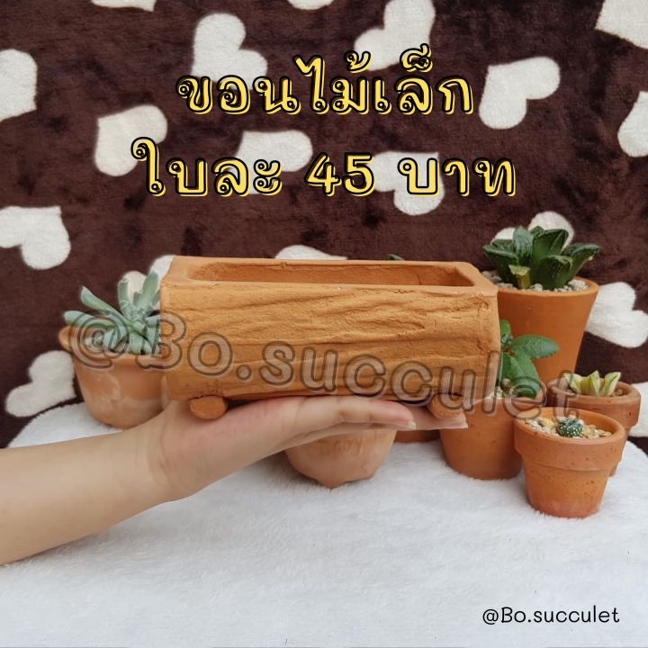 กระถางดินเผาลายขอนไม้เล็ก สำหรับแคตตัส