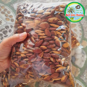 HẠT KONIA/ HẠT CẦY ĐẶC SẢN NÚI RỪNG THƠM NGON BÉO NGẬY