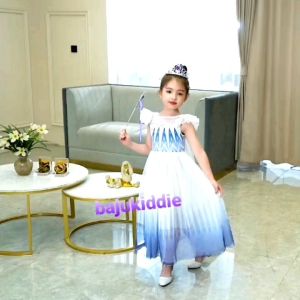 FROZEN 2 ELSA VIO DRESS
