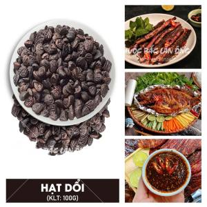 Hạt dổi nếp Tây Bắc 100g hạt dổi rừng gia vị chẩm chéo ướp thịt nướng thơm ngon chuẩn vị