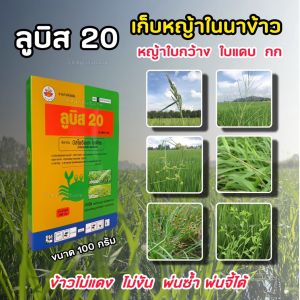ลูบิส 20 บิสไพริแบค-โซเดียม 20% บิสไพริแบก เก็บหญ้าในนาข้าว หญ้าข้าวนก หญ้าแดง กก 100 กรัม พ่นได้ 5 ไร่