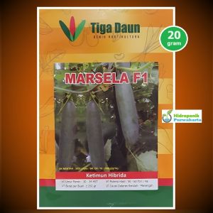 Benih Timun Hijau Hibrida MARSELA F1 20 gram Tipe Rujak Cap Tiga Daun