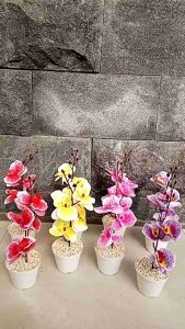 (COD) BUNGA ANGGREK 4 KUNTUM + POT MINI