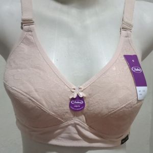 Bra Sport Wanita Shanaz Brukat 40 - 48 JUMBO Kait 3 Busa Tipis Tanpa Kawat Fullcup Murah