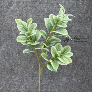 COMBO 5-10 Cành Lá Chanh Trang Trí Nhà Cửa Hàng Văn phòng Sự Kiện. Hoa Lụa Décor