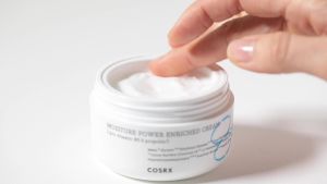 COSRX Hyaluronic Acid Moisturizer for Day & Night with Pro Vitamin B5 (D Panthenol) 50ml/1.69 fl.oz Propolis Extract Ceramide Long-Lasting Hydration for Dry Sensitive Skin Korean Skin Care