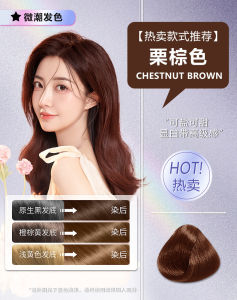 CLEARANCE: FEICAOJI Hair Dye Plant Bubble Dye Color Black Own Home Dye Shampoo Hair Salon Hair Dye Cream 菲草集染发剂植物泡泡染彩色