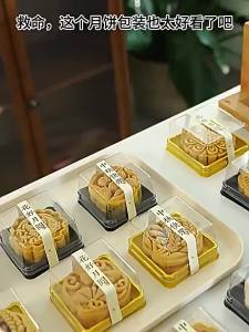 Pastry Packaging Sealing Bag Transparent Mooncake Yolk Crisp Display Container Pouch Beg Pembungkusan Kuih Bulan Pastri Lutsinar Makanan Manis Kedap Udara Premium Quality High Performance #3309