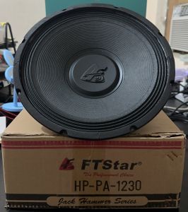 FT STAR HP-PA-1230 12" 500 watts Instrumental Speaker
